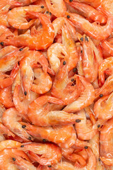 Shrimps background texture. A lot of shrimps. Cooked shrimps.