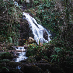 Cascada natural