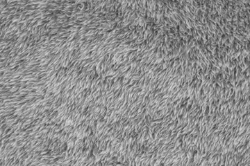 Blank gray plush sherpa material background
