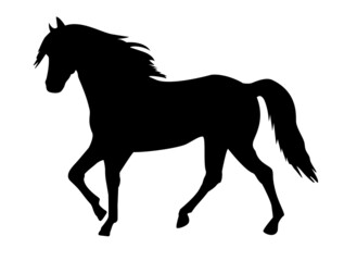Walking horse black silhouette isolated on white background. Vector illustration for patterns, wrapping paper, coloring page.