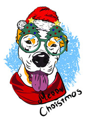 Dog in christmas costume. Isolated illustration. - 477963119