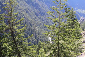 Wonderful road trip through Banff and Jasper national park in British Columbia, Canada. An amazing day in Vancouver. What a beautiful nature in Canada with so many animals and mountains.