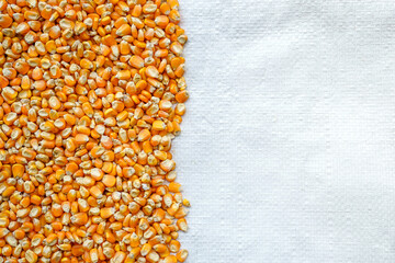 close up of yellow corn seeds on white sack with copy space can be use as background