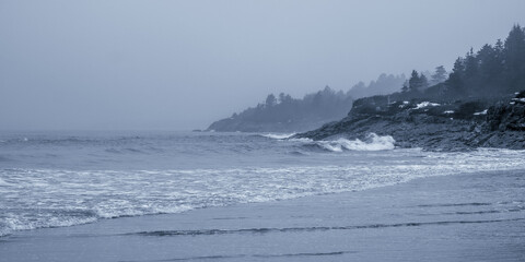 Higgins Beach - 1/1/2022