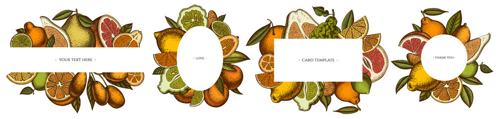 Citrus hand drawn frame templates. Vintage illustrations of kumquat, lemon, tangelo, grapefruit, orange, lime, mandarin, pomelo, bergamot.