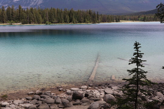 Beautiful blue clear lake Anette in Jasper. Wonderful road trip through Banff and Jasper national park in British Columbia, Canada. An amazing day in Vancouver. What a beautiful nature in Canada.
