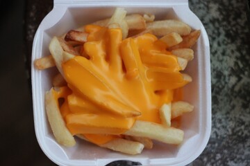 cheese fries 
