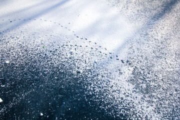 Spuren im Schnee, eingefrorener Fluss