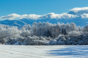 冬の霧ヶ峰高原雪原と霧氷