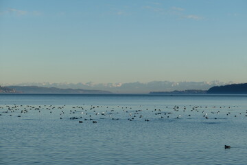Abendliche Winteridylle am Überlinger See