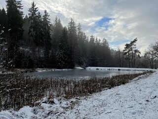 Dammbachsgrund Eis 2