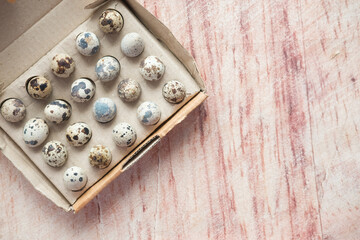 close up of Quails eggs in a box 