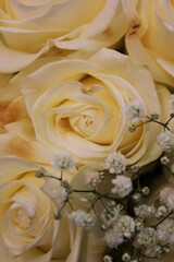 bouquet of roses