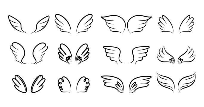 Wings. Hand drawn bird and angel outline elements. Angelic emblem, black pencil line drawing, icon collection, sketch style feather, vector isolated set