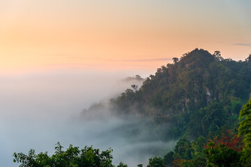 Scenery of mountain and fog in sunrise sky at Ban Ja Bo, Mae Hong Son city Thailand, tropical forest mountain view.