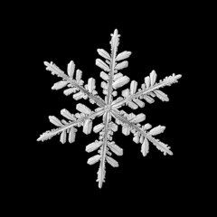 Snowflake isolated on black background. Macro photo of real snow crystal: elegant stellar dendrite with hexagonal symmetry, glossy 3D surface, complex inner details and six flat, fragile arms.
