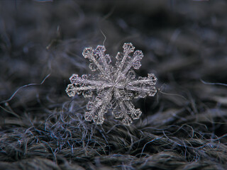 Snowflake glowing on dark textured background. Macro photo of real snow crystal: big stellar dendrite with glossy, flat surface, thin, complex arms and tiny bubbles of frozen rime across the crystal.