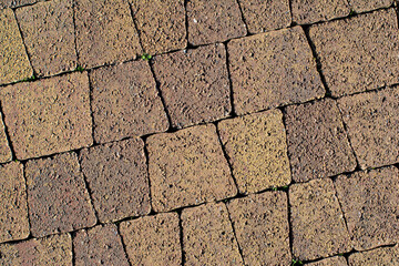 Paving slabs texture