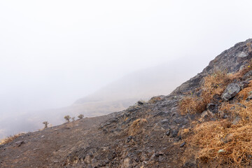 View Ponta sao lourenco madeira east point hiking path