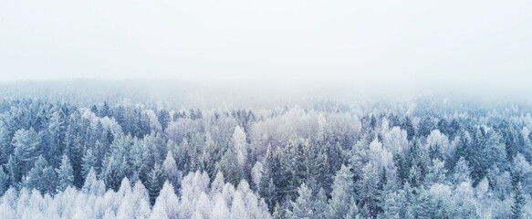 Fototapeta Beautiful winter scene / perfect for background obraz