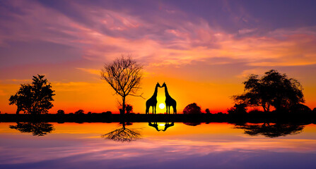 Amazing sunset and sunrise.
Panorama silhouette in africa with sunset, dramatic sunrise safari....