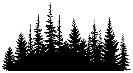 Hand drawn vector illustration. Black silhouettes of forest fir trees. Isolated object on white background.