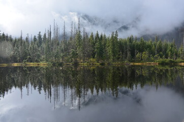 Smrecynski Staw / Smreczyński-Teich  in der Hohen Tatra