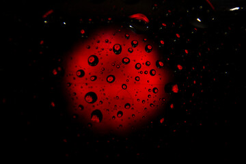 Red flower through water drops