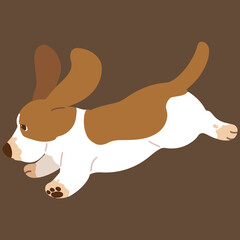 Simple and adorable flat colored illustration of Basset Hound jumping