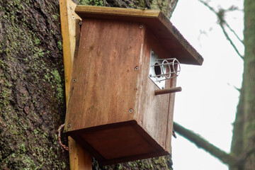 wooden bird house