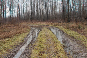 Fototapeta na wymiar broken tractor road in autumn in the forest