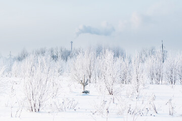 Winter white landscape with thin path in snowdrift and forest in hoar frost ans smoking factory...