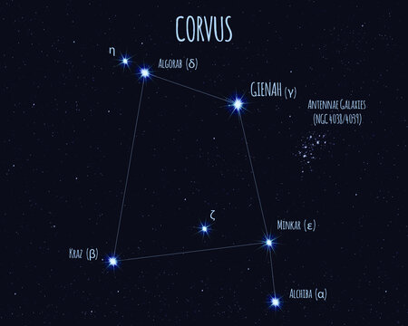 Corvus (The Raven) constellation, vector illustration with the names of basic stars against the starry sky