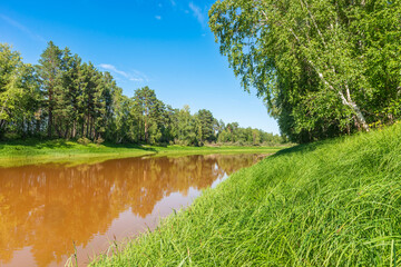 River in the forest with tall grass on the banks. Cloudy water. Summer landscape