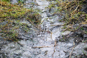 mud texture gray color close up