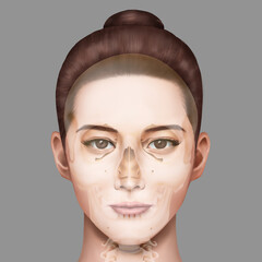 두개골 여성 해부학 일러스트