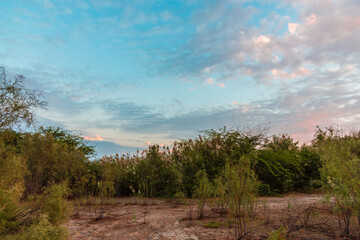 Obraz premium Sunset view from the green valley of Jeddah, Saudi Arabia.