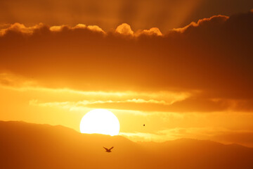 Sun at dawn appearing as a sphere over hills near Santa Cruz, California. 