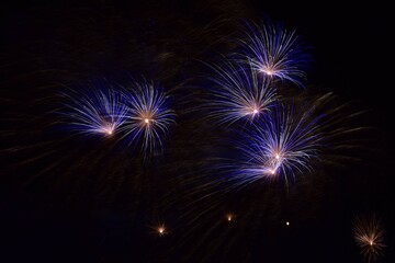 Fototapeta na wymiar Fireworks Display at New Year's Eve. Blue, Sapphire Fireworks.