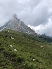 dolomites Alps travel. Smartphone photos