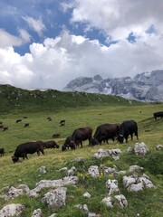 dolomites Alps travel. Smartphone photos