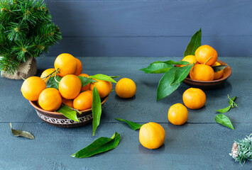 tangerines on a plate, on a wooden background, christmas tree and green leaves
