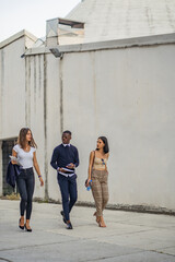 Obraz premium Walking and talking