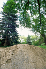 Pile of Dirt in the Forest by the river for doing BMX tricks