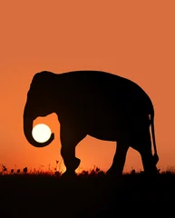 Fotobehang Vermiljoen Silhouet van een olifant die de zon in zijn slurf draagt tegen de achtergrond van een zonsondergang
