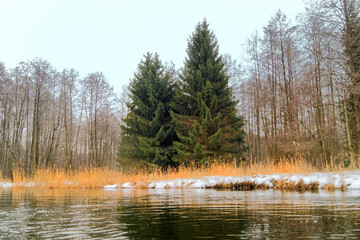 kajakowy spływ rzeką Pisą