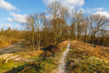 Fototapeta premium A path in the forest near the Fortress in Modlin. Nowy Dwor Mazowiecki, Poland.
