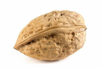 One walnut on a white background. Valuable fruit Juglans regia. The nut is isolated for quick selection.