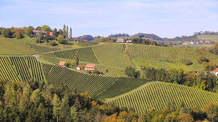 Impression from the vinery region Südsteiermark in Austria