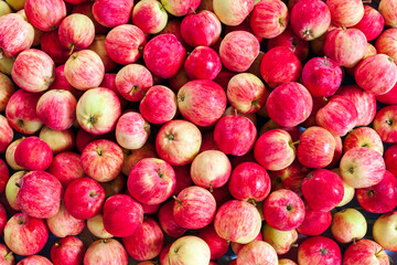 A bunch of yellow-red apples. Natural background from bright apples.